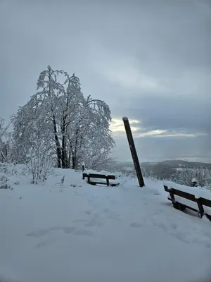 Michaels Fewo Erbhai im Winter