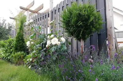 Ein Garten an der Unterkunft Harzhaus Ida