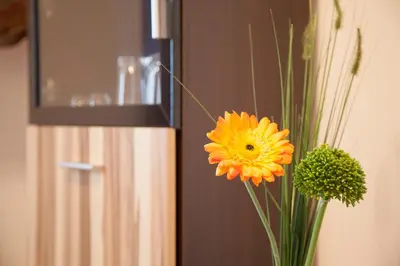 Grundriss der Unterkunft Hotel Waldoase Hirschbüchenkopf