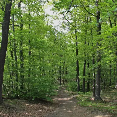 Naturlandschaft in der Nähe der Ferienwohnung