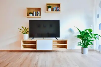 TV/Unterhaltungsangebot in der Unterkunft ApartZ - Bad Harzburg - Apartment mit Sauna in idealer Lage mit Bergblick