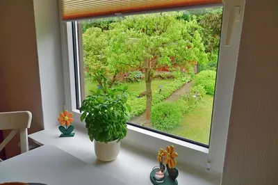 Ein Garten an der Unterkunft Harzapart Apartment 3 