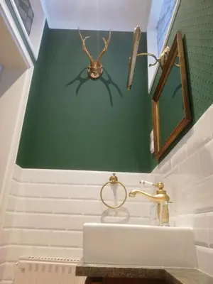 Ein Badezimmer in der Unterkunft Ferienwohnung / Hotel Zur Tanne
