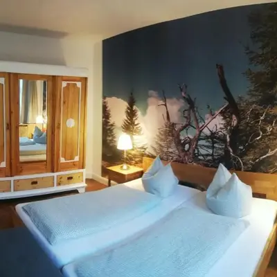 Ferienwohnung / Hotel Zur Tanne