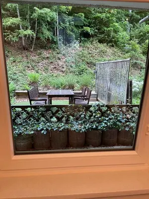 Ein Garten an der Unterkunft International 5