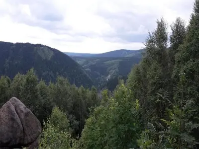 Naturlandschaft in der Nähe der Ferienwohnung