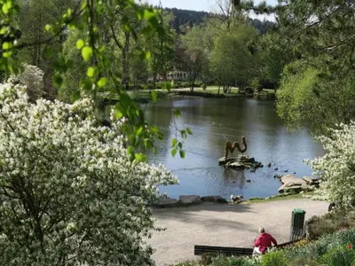 Naturlandschaft in der Nähe der Ferienwohnung