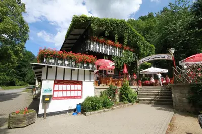Ein Garten an der Unterkunft Waldgasthaus & Pension Christianental