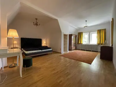TV/Unterhaltungsangebot in der Unterkunft Wunderschönes Ferienhaus für Familien im Harz in historischer Stadtvilla im Herzen Zellerfelds