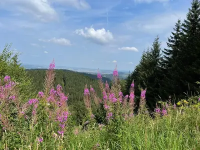 Naturlandschaft in der Nähe der Ferienwohnung