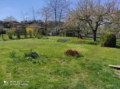 Ein Garten an der Unterkunft Ferienhaus Heider II