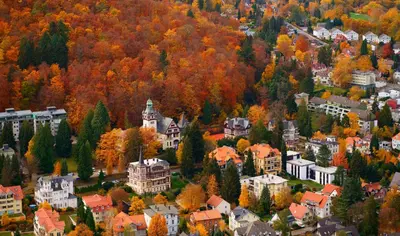 Blick auf FeWo Harzgipfel mit Dampfdusche #Innestadtnähe#Netflix von Harztraveler aus der Vogelperspektive