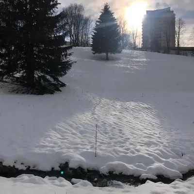 App 510 Panoramic Hohegeiß mit Fernblick im Winter