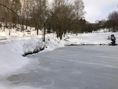 App 510 Panoramic Hohegeiß mit Fernblick im Winter