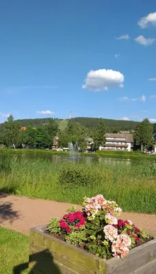 Naturlandschaft in der Nähe der Ferienwohnung
