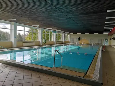 Der Swimmingpool an oder in der Nähe von Harz-Fewo KY487
