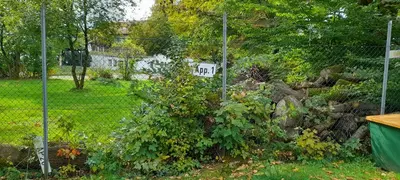 Ein Garten an der Unterkunft Ferienwohnung Kück-Theodor-Hein-Str.