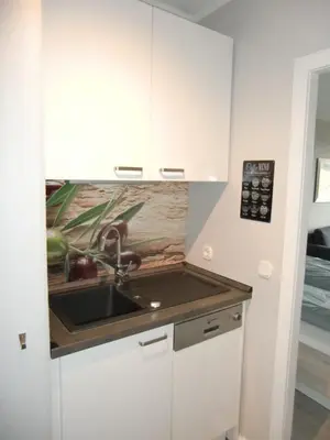 Küche/Küchenzeile in der Unterkunft Haus am See HS 576