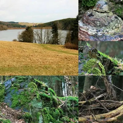 Naturlandschaft in der Nähe des Hotels