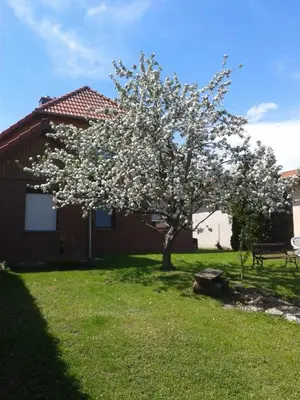 Ein Garten an der Unterkunft Ferienwohnung Relax