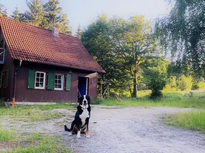 Haustiere von Gästen der Unterkunft Hexenhaus im Jagdhof Carlshaus