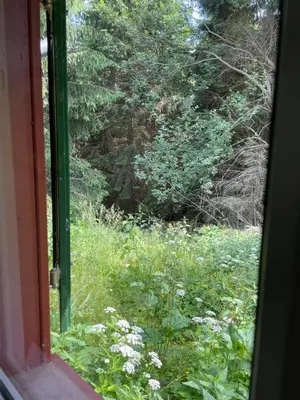Ein Garten an der Unterkunft Hexenhaus im Jagdhof Carlshaus
