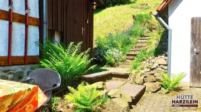 Ein Garten an der Unterkunft Arode Hütte Harzilein - Romantic tiny house on the edge of the forest