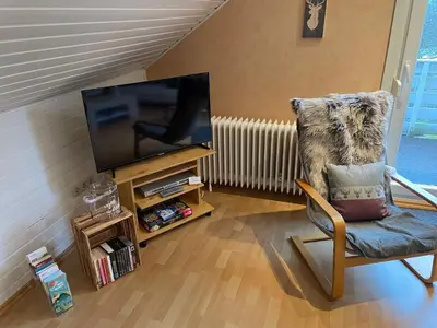 TV/Unterhaltungsangebot in der Unterkunft Haus Harzlich