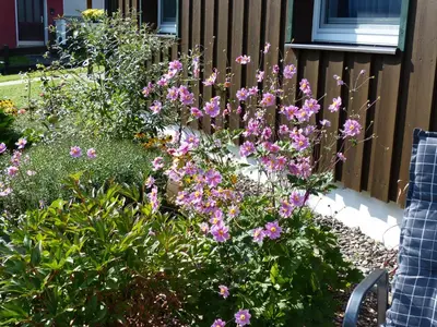 Ein Garten an der Unterkunft Ferienwohnung Jesse