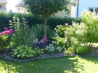 Ein Garten an der Unterkunft Ferienwohnung Jesse