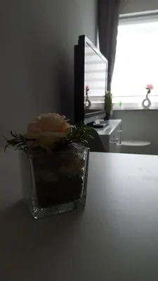 Grundriss der Unterkunft Kleine Oase bei Nina