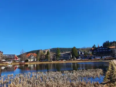 Naturlandschaft in der Nähe der Ferienwohnung