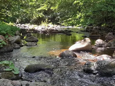 Naturlandschaft in der Nähe des Ferienhauses