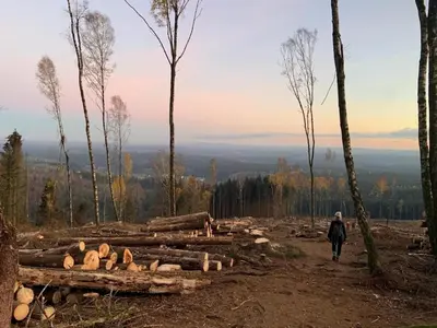 Naturlandschaft in der Nähe des Ferienhauses