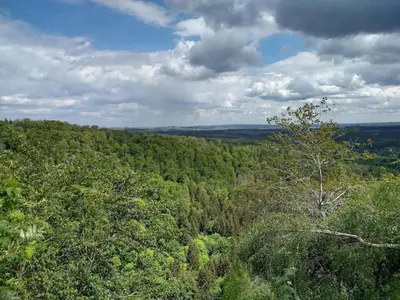 Naturlandschaft in der Nähe des Ferienhauses