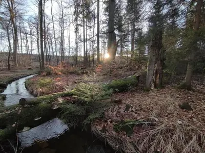 Naturlandschaft in der Nähe des Ferienhauses