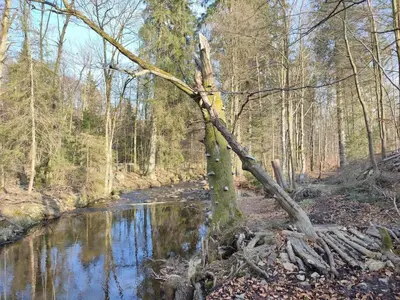 Naturlandschaft in der Nähe des Ferienhauses