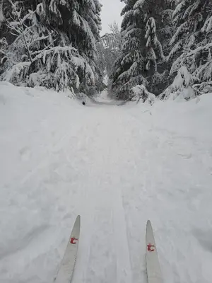 Fewo Nici im Winter