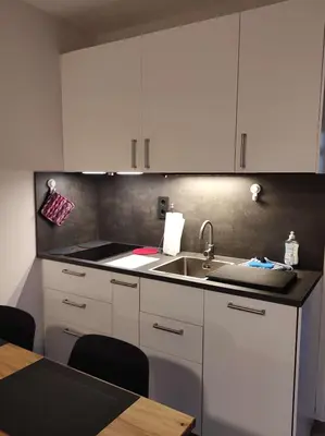 Küche/Küchenzeile in der Unterkunft Ferienwohnung Harzer Horst