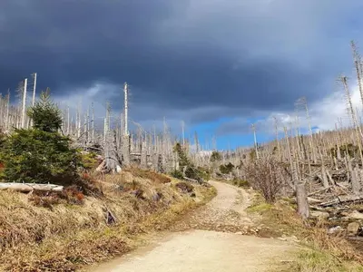 Naturlandschaft in der Nähe des Ferienhauses