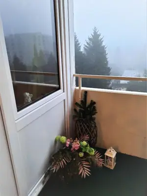 Ein Balkon oder eine Terrasse in der Unterkunft Funny Jungle Ferienwohnung im Hahnenklee (Harz)