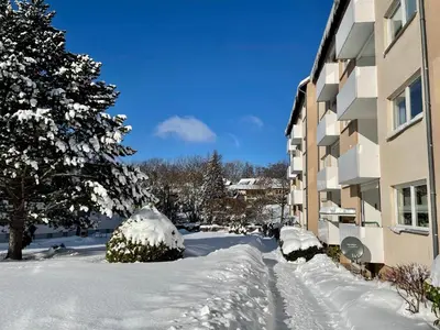 Bergfürst im Winter