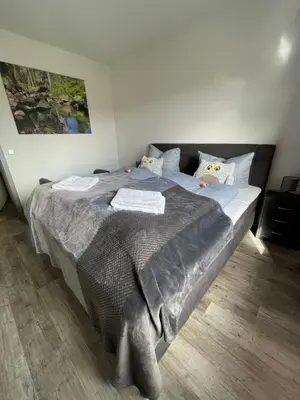 Ein Bett oder Betten in einem Zimmer der Unterkunft Harzer Traum - renoviert, inklusive Wäsche und WLAN