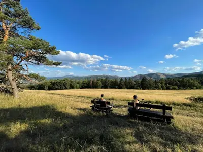Naturlandschaft in der Nähe der Ferienwohnung