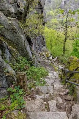 Naturlandschaft in der Nähe des Ferienhauses