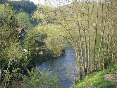Naturlandschaft in der Nähe der Ferienwohnung