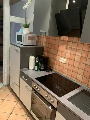 Küche/Küchenzeile in der Unterkunft 1-Zimmer-Wohnung Astfeld