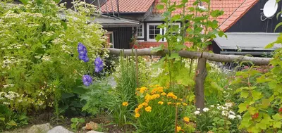 Ein Garten an der Unterkunft Ferienwohnung Zur Ellernmühle
