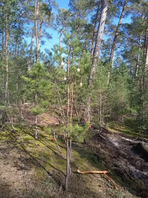 Naturlandschaft in der Nähe der Pension