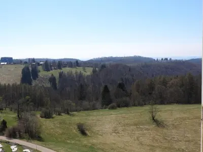 Naturlandschaft in der Nähe der Ferienwohnung